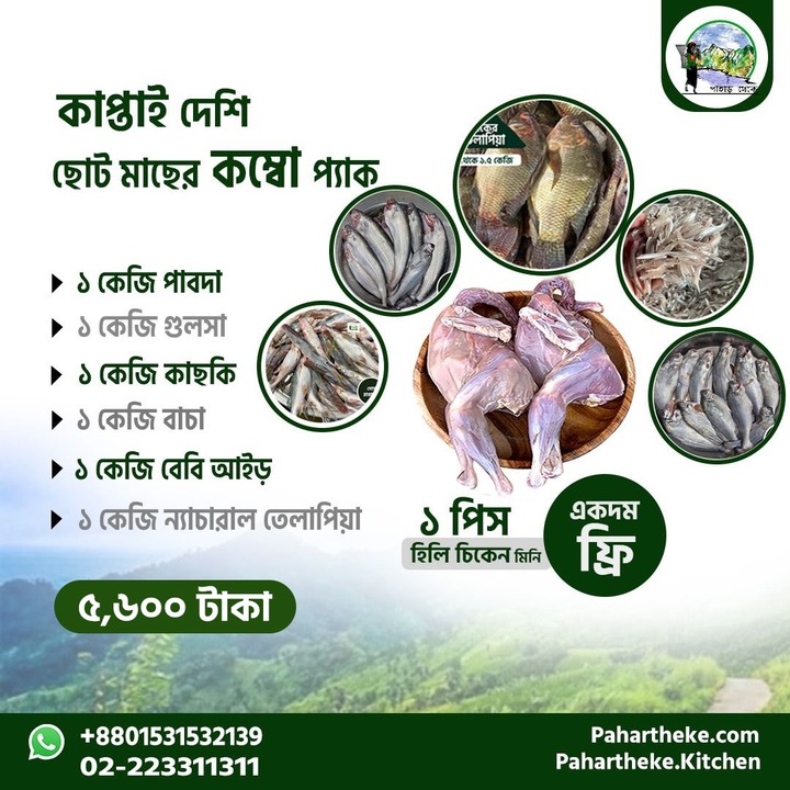 কাপ্তাই লেকের ছোট মাছের কম্বো প্যাক।