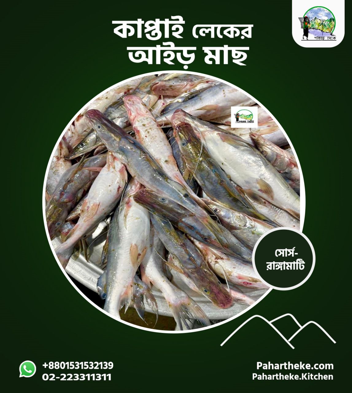 কাপ্তাই দেশি আইর ৪০০-৭০০ গ্রাম।