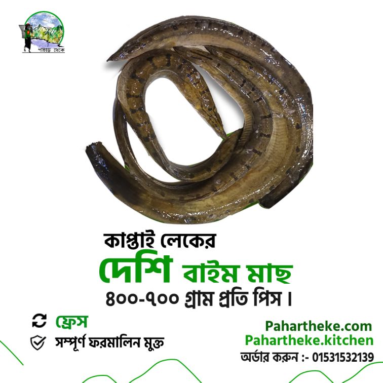 কাপ্তাই দেশি বাইম - বড় সাইজ।