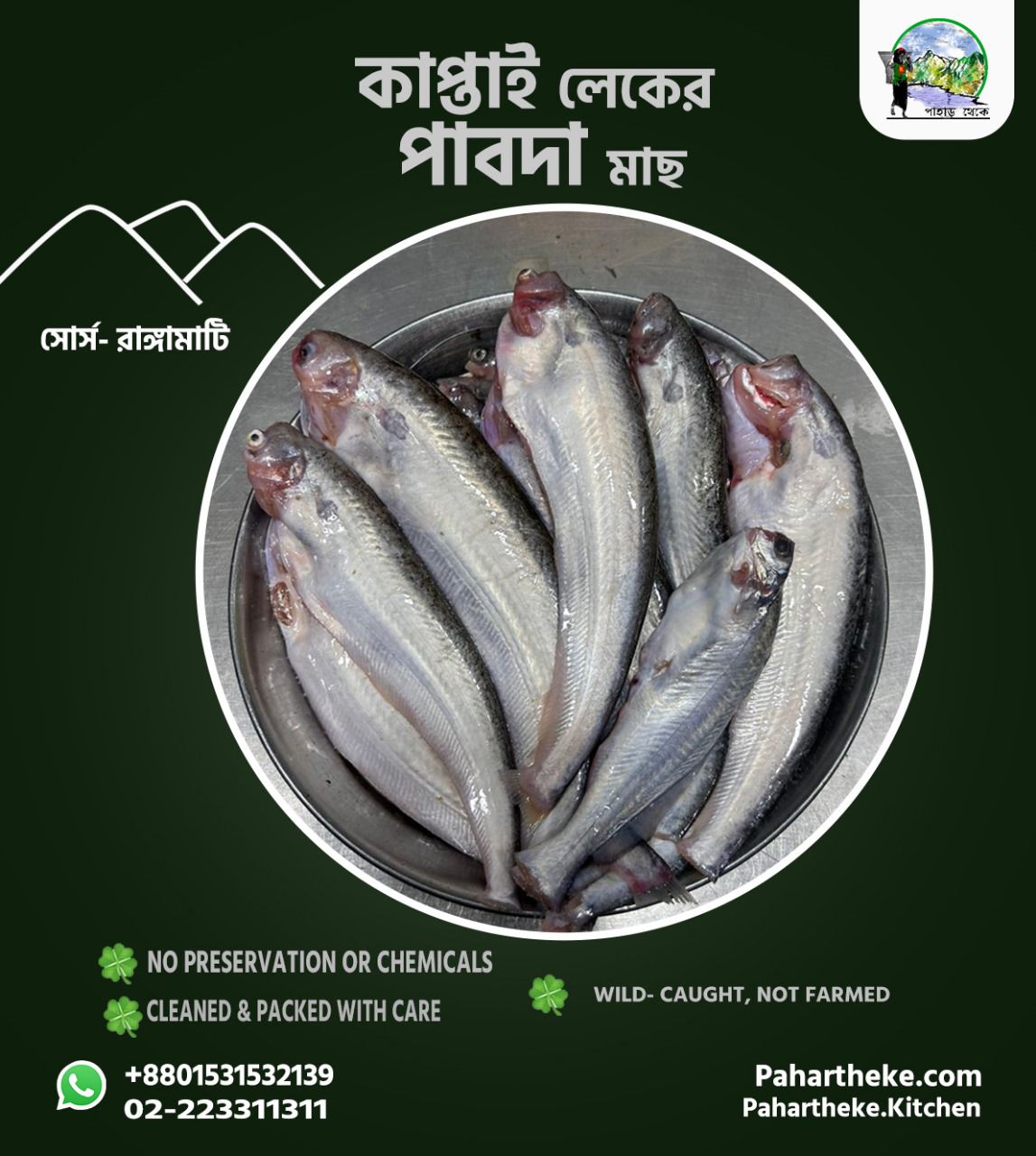 কাপ্তাই লেকের পাবদা।