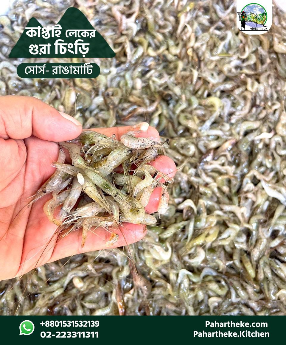 কাপ্তাই লেকের গুরা চিংড়ি -