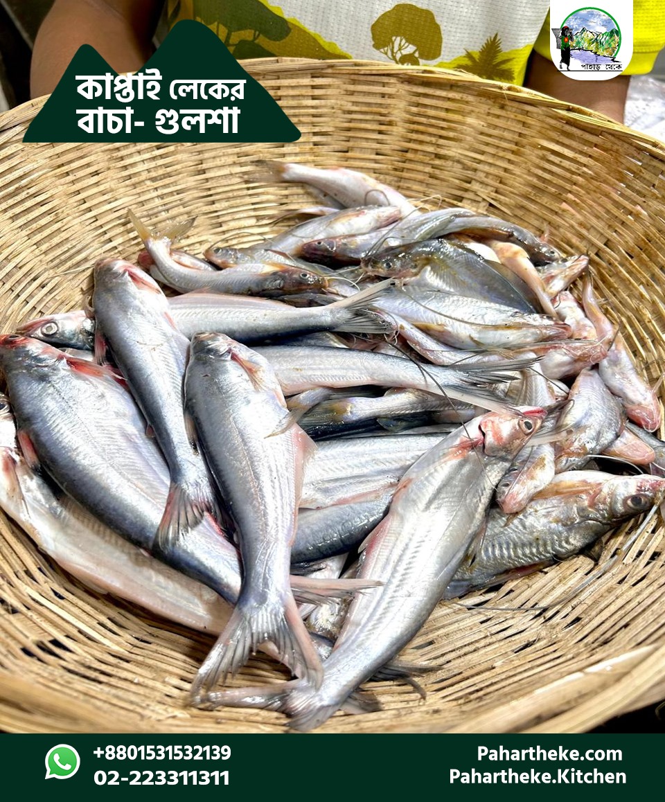 কাপ্তাই লেকের বাচা মাছ - বিগ সাইজ।
