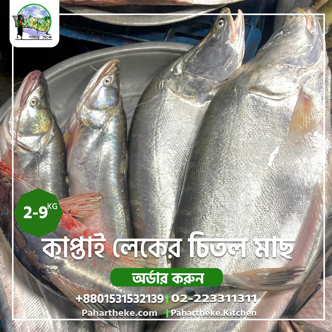 কাপ্তাই লেকের মাছ কেন স্পেশাল?